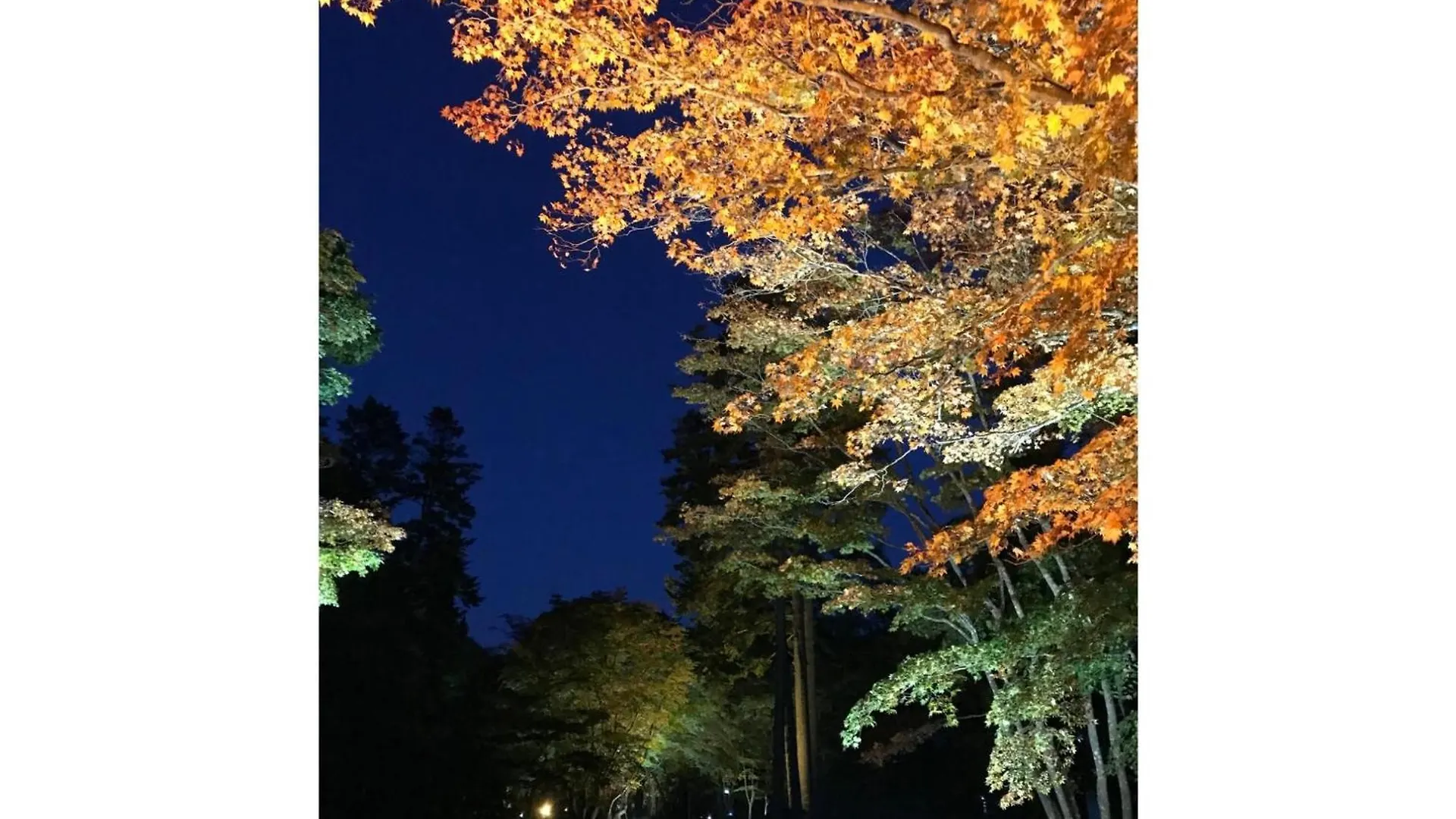 Hotel Tetora Yunokawaonsen - Vacation Stay 30714V Hakodate